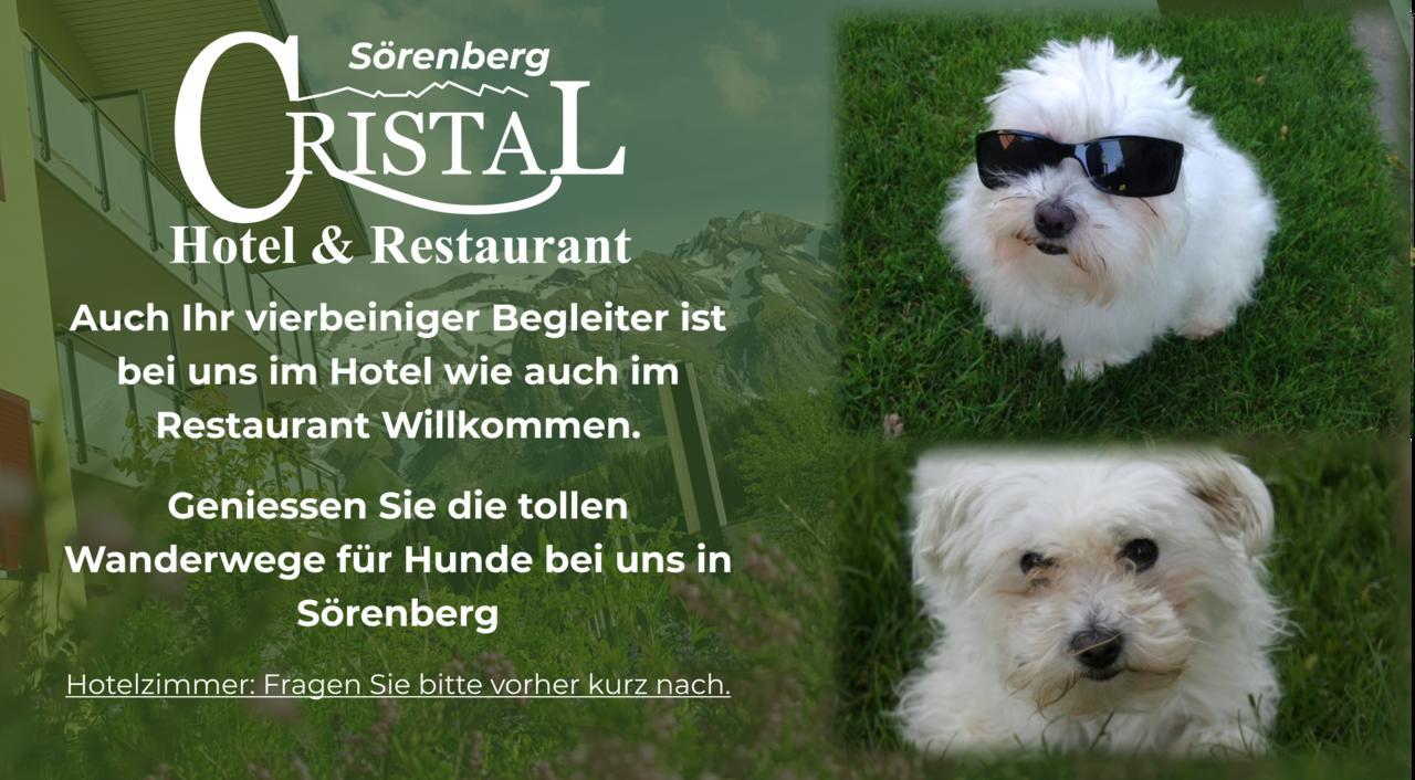 Hotel Cristal Soerenberg Exteriör bild